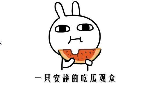 一起吃瓜是什么意思