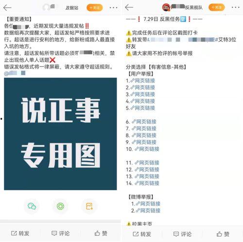 网络吃瓜视频,揭秘娱乐圈幕后故事