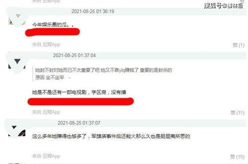 娱乐吃瓜酱文件传输,揭秘文件传输背后的精彩故事